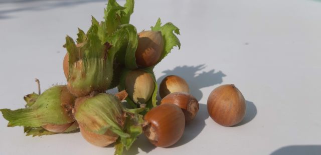 20190831_163959 20190831_163959